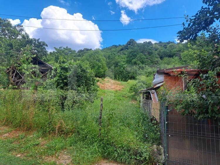 Teren Construcții intravilan de 3484 mp, în Viforâta