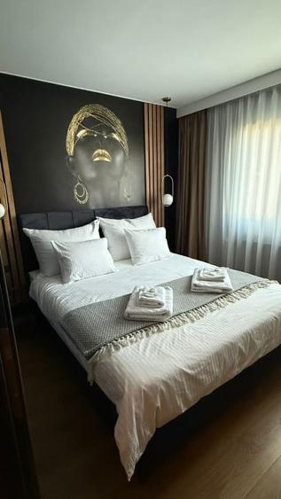 2 camere | Banesa | Sisesti | Herastrau | Casa Presei | Pet Friendly - 8