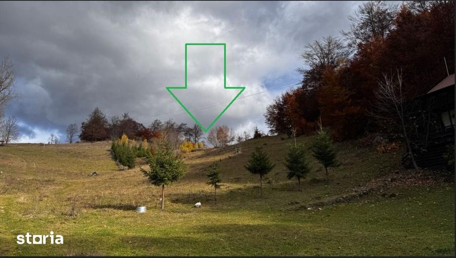 Teren de 5839 mp, în Dâmbovicioara