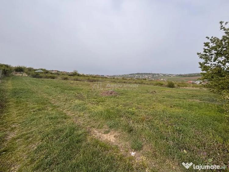 Teren în Paleu