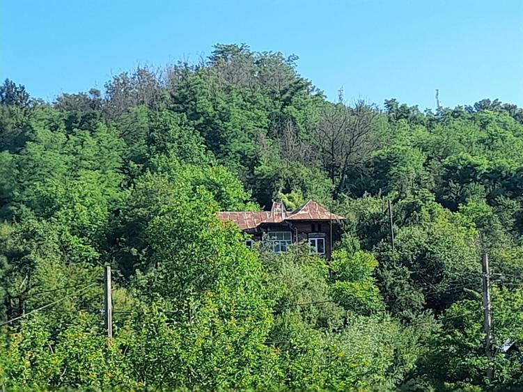 Casă cu 3 camere în Crivățu