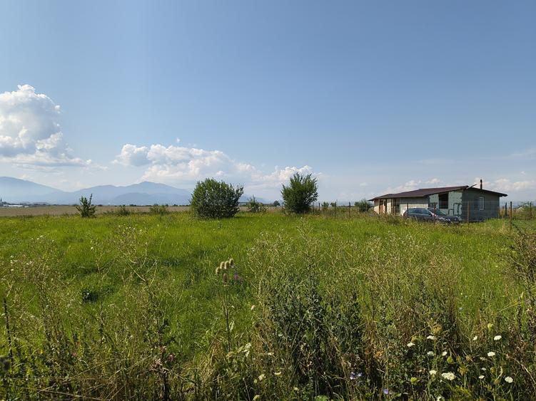 Teren Construcții intravilan de 800 mp, în Bod