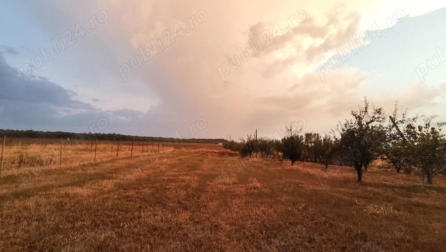 Teren de 800 mp, în Vladimirescu