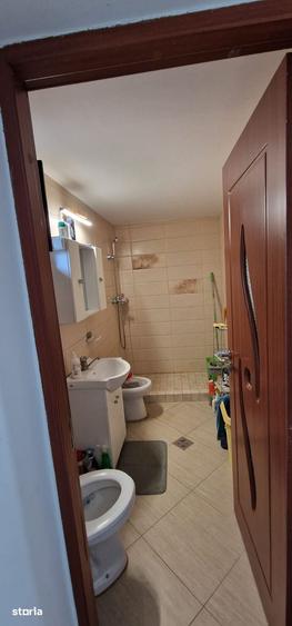Casă cu 2 camere cu Teren 222 Mp în Rudului