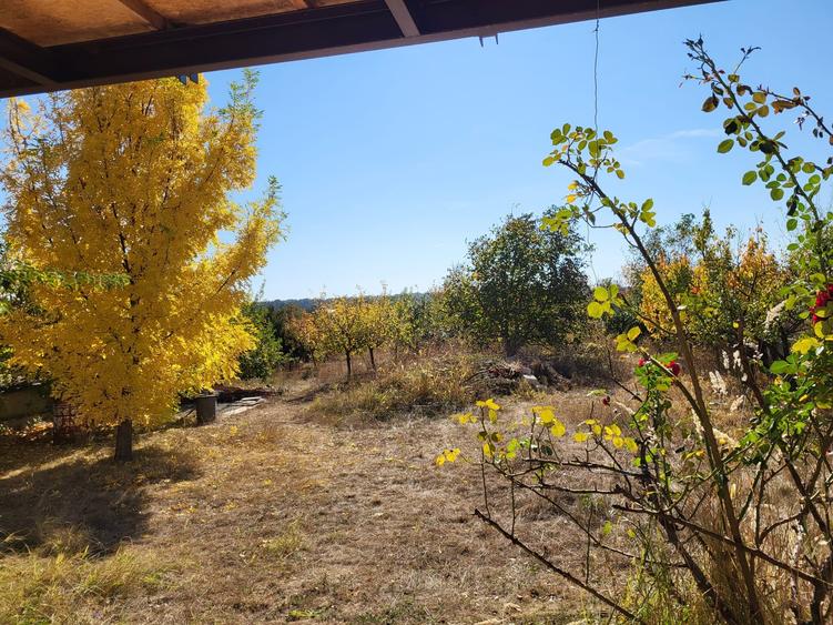 Casă individuală cu 4 camere cu Teren 3500 Mp în Snagov