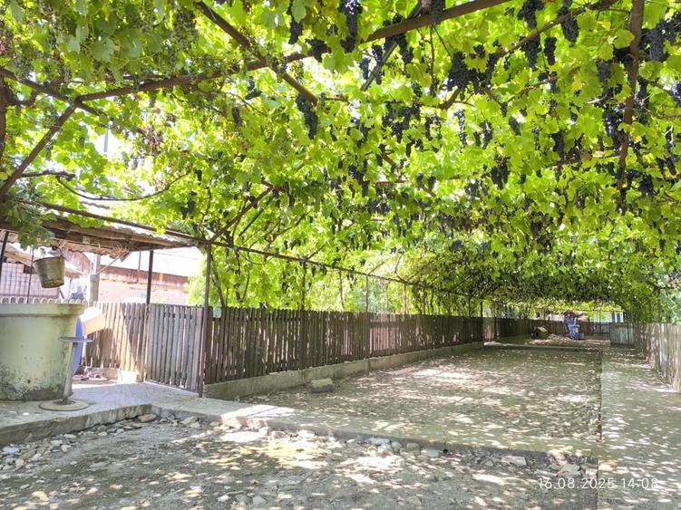 Casă cu 2 camere cu Teren 1900 Mp în Central