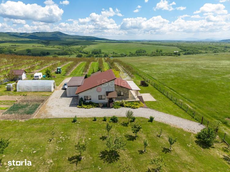 Teren de 68800 mp, în Dumbrăvița