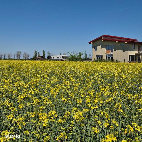 Teren de 5000 mp, în Ciolpani