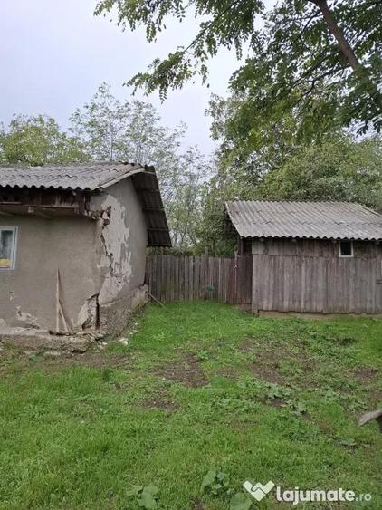 Casa si teren in sat Prisecani, com Boghesti - 6