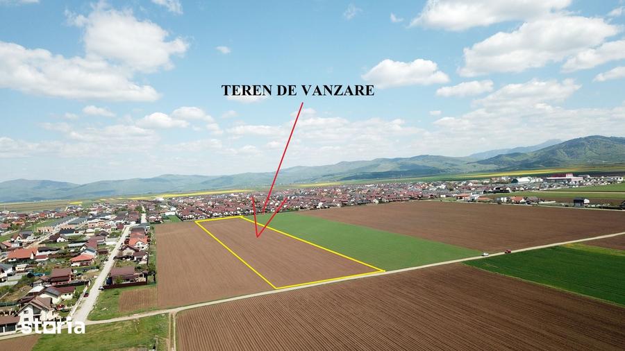 Teren de 29200 mp, în Tărlungeni