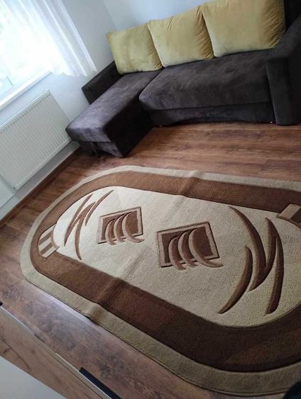 Apartament cu o camera de inchiriat - 7