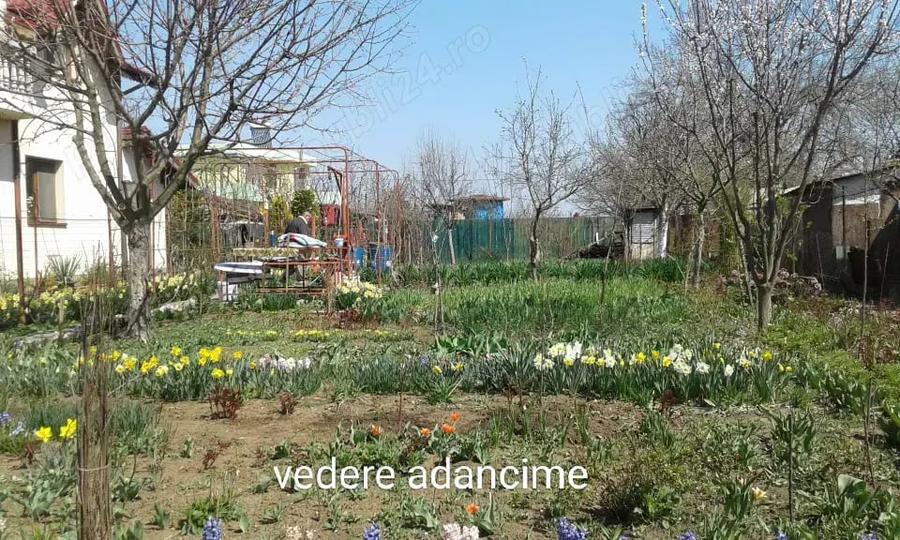 Teren în Frumușani
