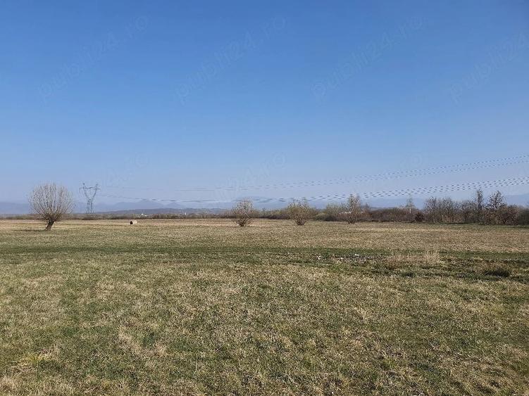 Teren de 4700 mp, în Culcea