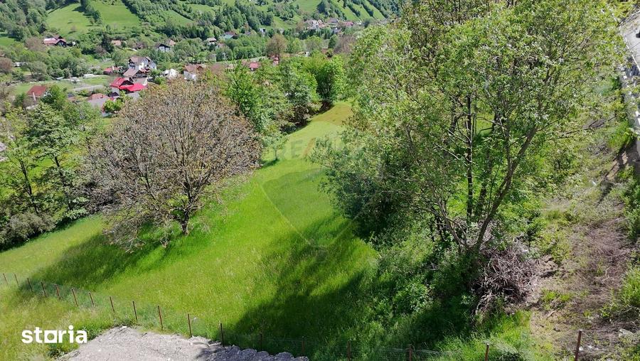 Teren intravilan |Moieciu de Jos| str. Principala| - 2
