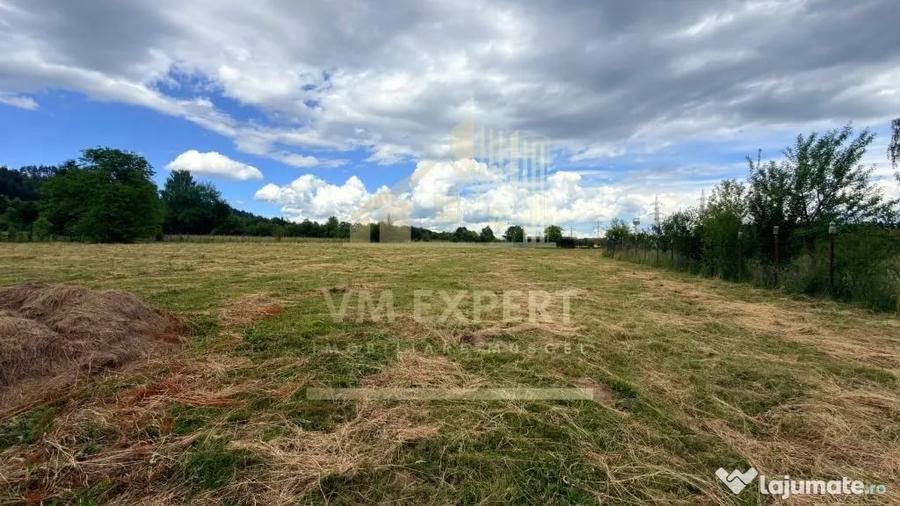 Casă cu 3 camere cu Teren 6997 Mp în Bughea de Sus