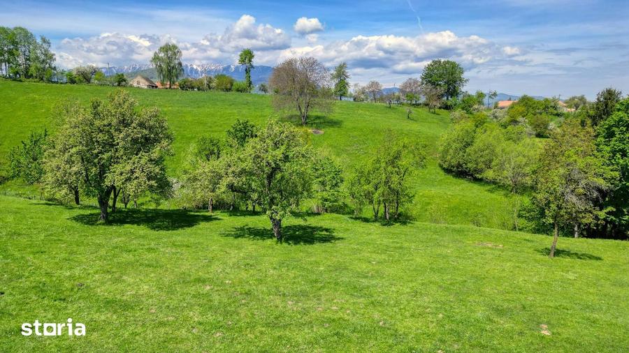 Teren de 15856 mp, în Bran