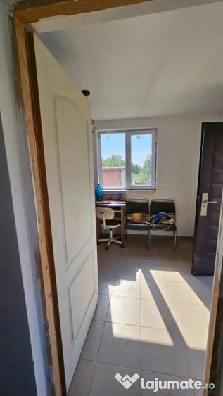 Apa, casa P+M,14 ari teren - 6