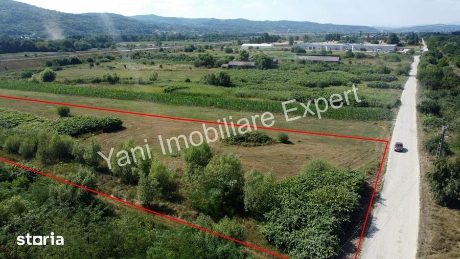 Teren de 8229 mp, în Băiculești