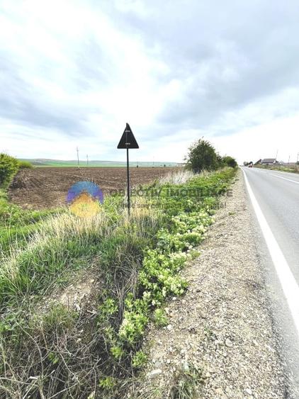 Teren agricol intravilan de 4500 mp, în Precista