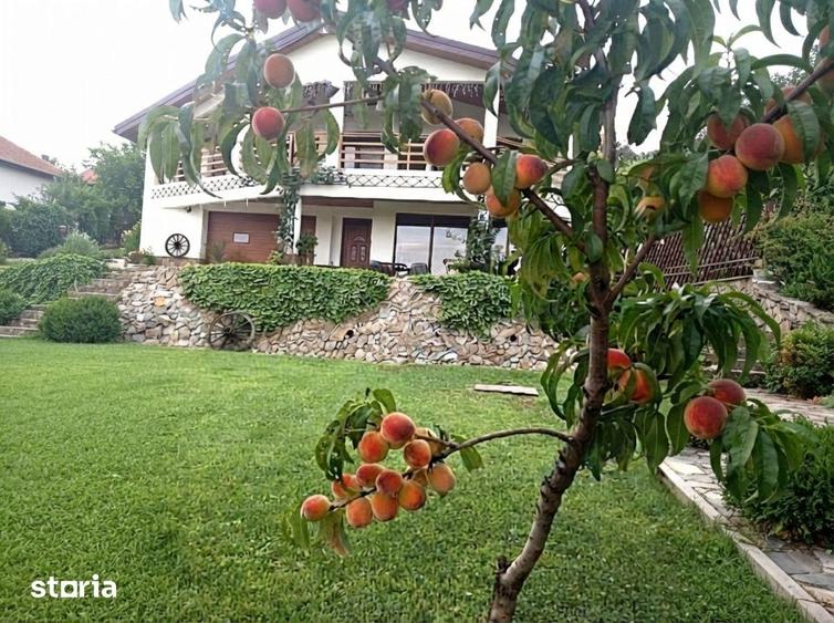 Casă cu 6 camere cu Teren 5845 Mp în Predești