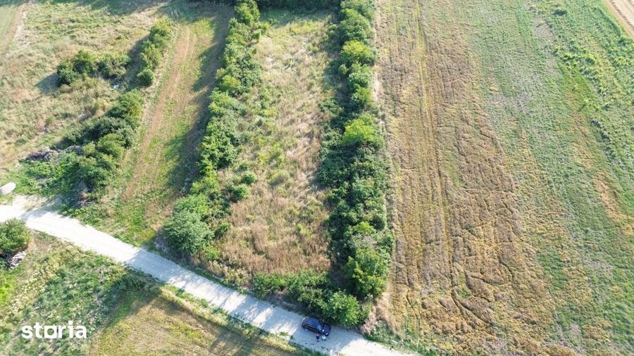 teren in Peris la 100 m de utilitati, ideal investitie - 2