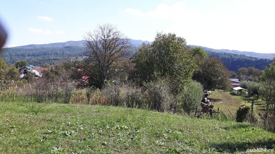 Teren de 4800 mp, în Vidra