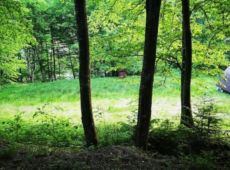 Teren intravilan de 3275 mp, în Tarcău