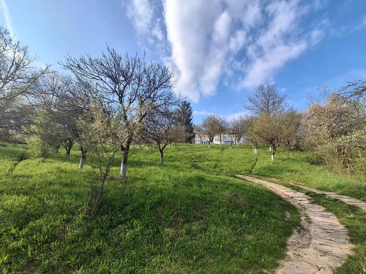 Casă cu 5 camere cu Teren 5950 Mp în Nord