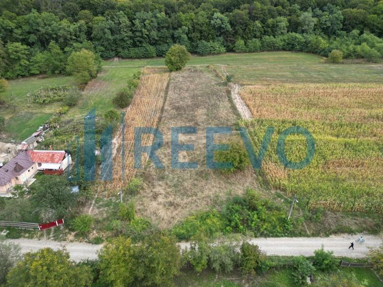 Teren Construcții intravilan de 3426 mp, în Racova