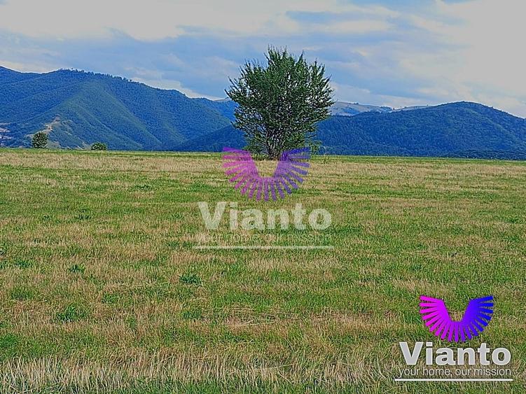 Teren agricol extravilan de 3100 mp, în Rășinari
