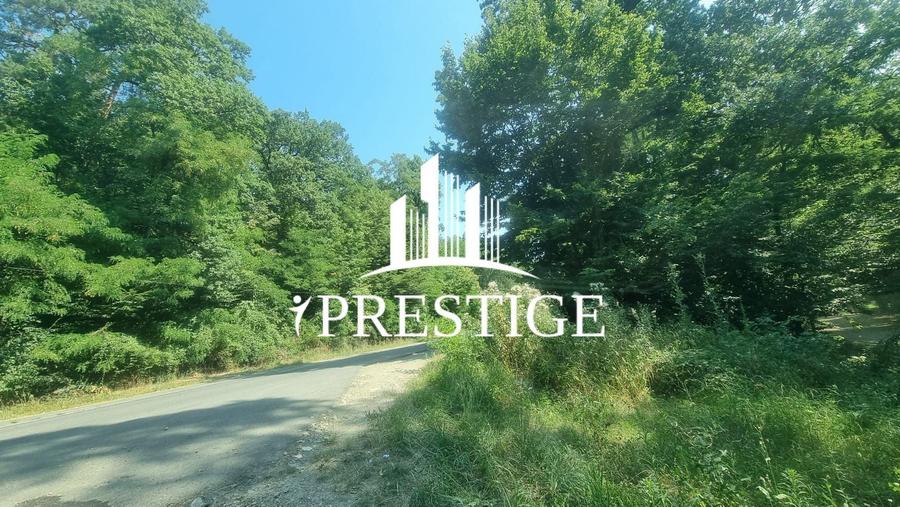 Teren agricol extravilan de 1154 mp, în Calea Dumbrăvii