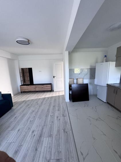 Apartament cu 2 camere semidecomandat în Vișan
