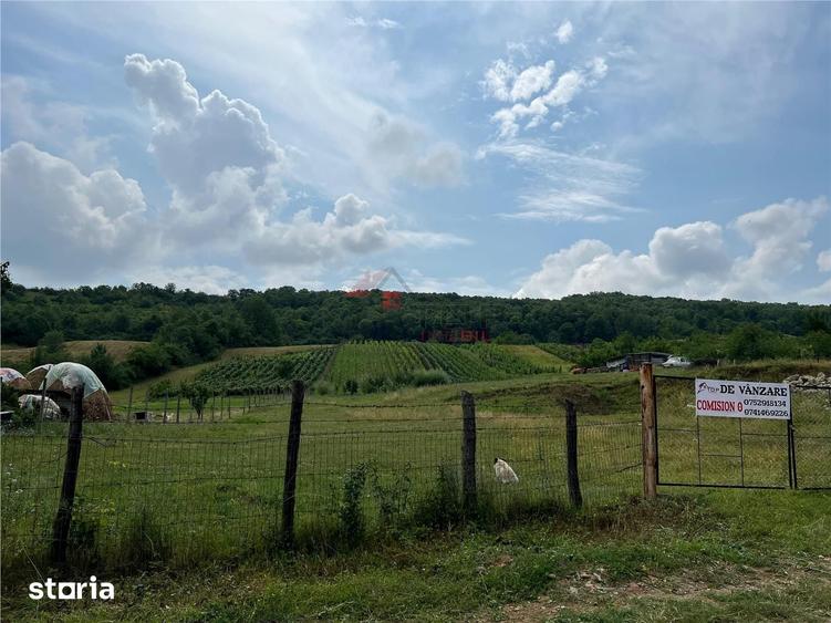 Teren de 3750 mp, în Tomești
