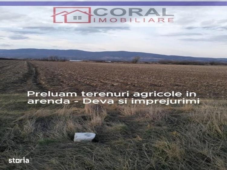 Spațiu comercial, în Decebal
