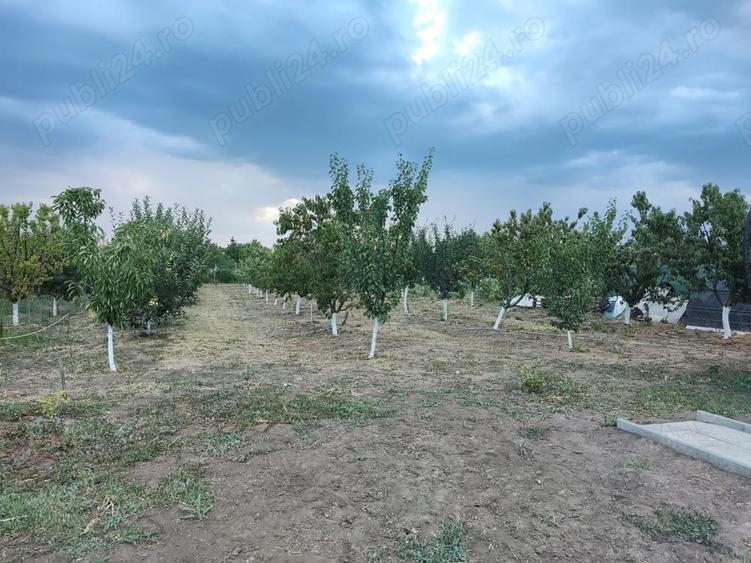 Casă cu Teren 1000 Mp în Silistraru