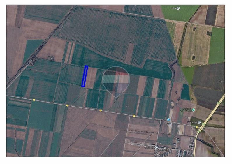 Teren agricol extravilan de 8632 mp, în Livada de Bihor