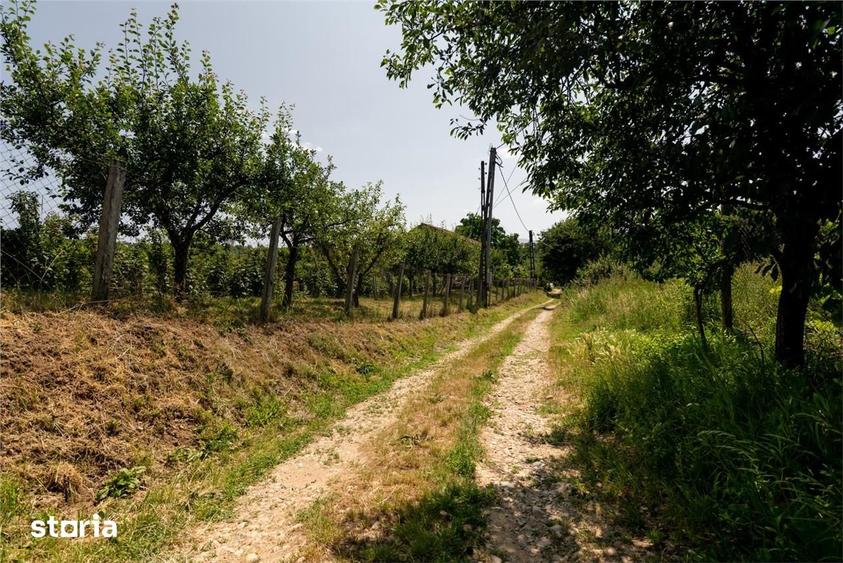 Teren de 1200 mp, în Oncea