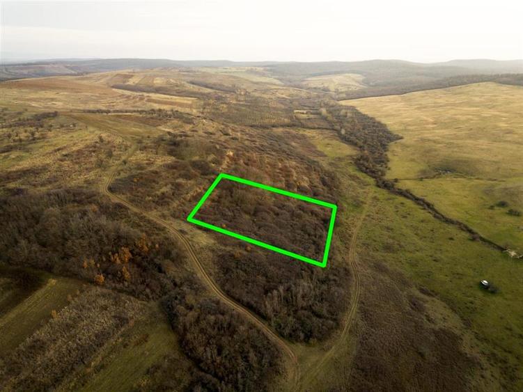 Teren Construcții intravilan de 4278 mp, în Uileacu de Munte