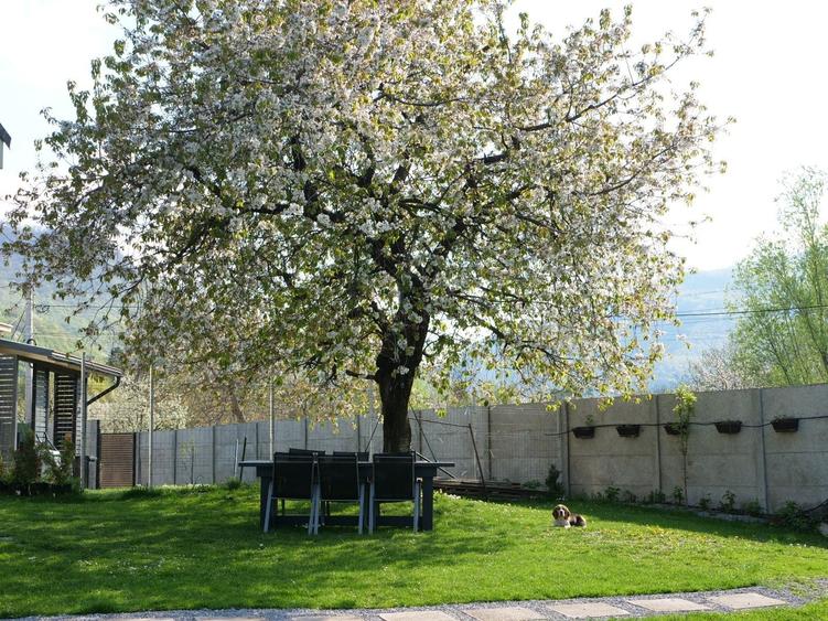 Casă cu 4 camere decomandat în Râu de Mori
