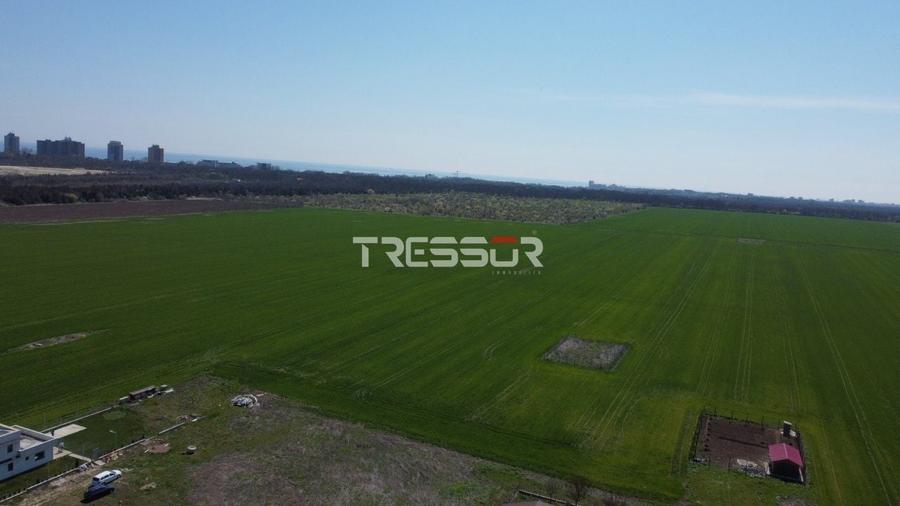 Teren Construcții extravilan de 532 mp, în Sud