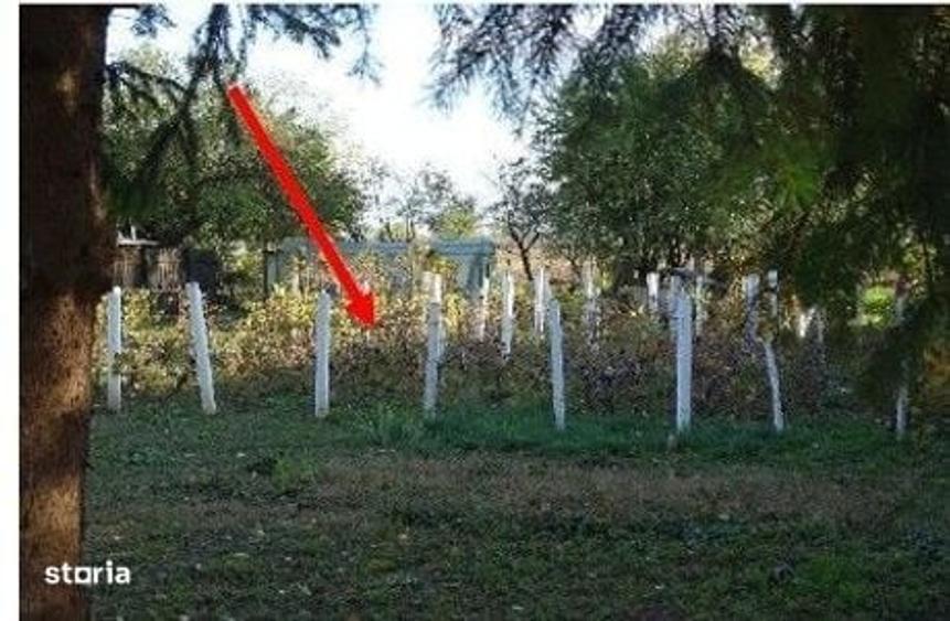 Spațiu comercial, în Bolintin-Deal