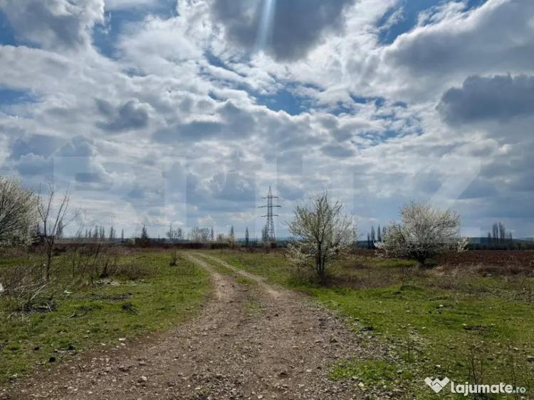 Teren de 7800 mp, în Central
