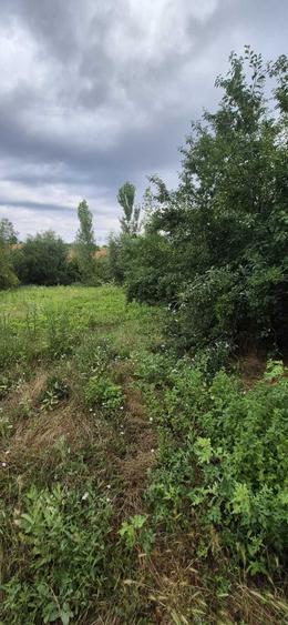 Casă cu 3 camere în Răsuceni