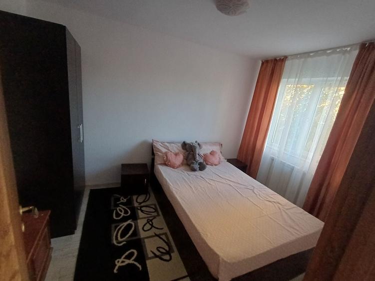Apartament cu 2 camere nedecomandat în Valea Rosie