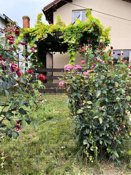 Casă individuală cu 5 camere cu Teren 690 Mp în Slobozia Moară