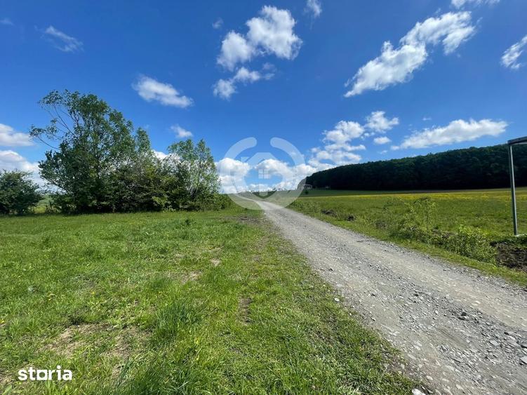 Teren de 600 mp, în Sadu