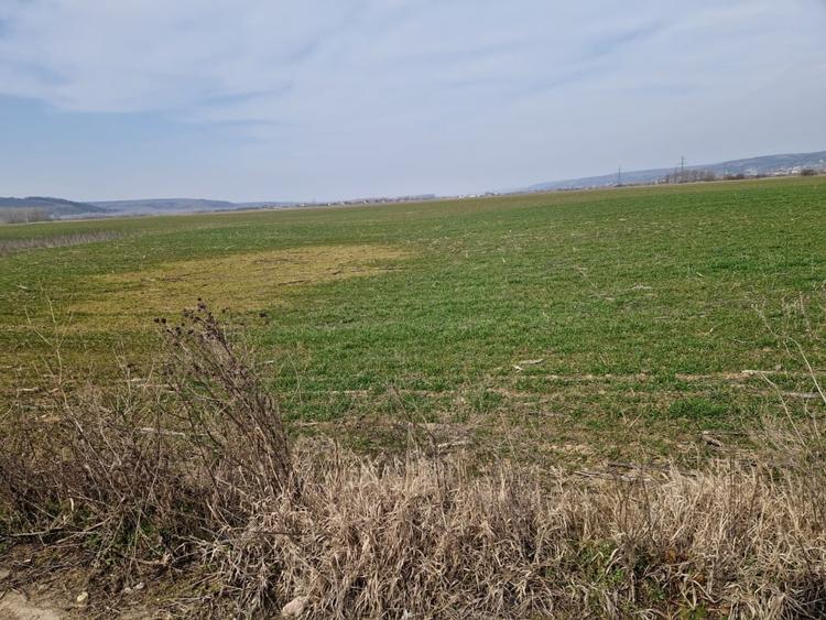 Teren Construcții intravilan de 3300 mp, în Șimnicu de Sus