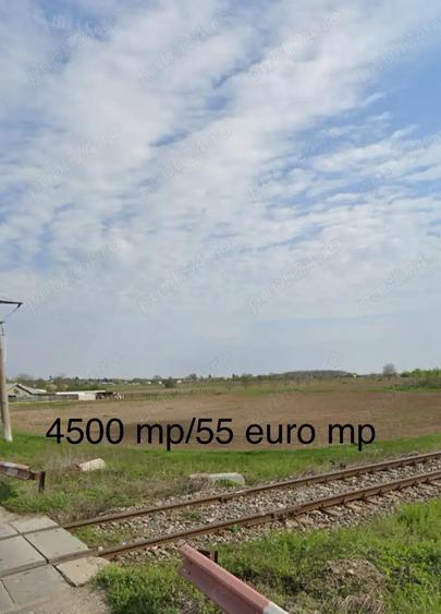 Teren de 4500 mp, în Grădiștea