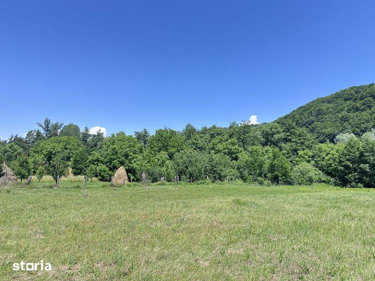 Investitie Turism | Casa | 5164 mp teren | Lac Propriu | Malu cu Flori - 12