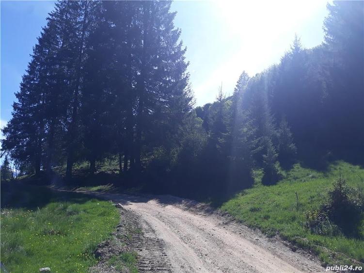 Teren de 4000 mp, în Poiana Brașov